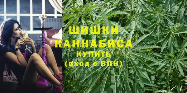 стаф Липки