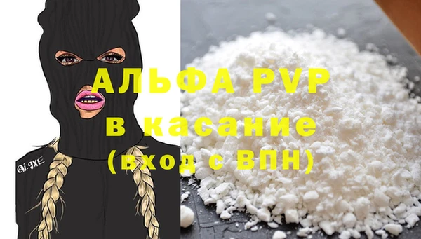стаф Липки