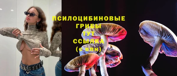 стаф Липки