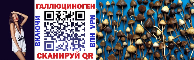 Псилоцибиновые грибы прущие грибы  купить наркотики цена  Новосибирск 